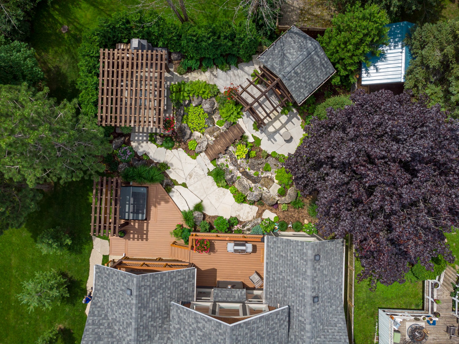 Aerial view of landscaped backyard with pergolas and deck