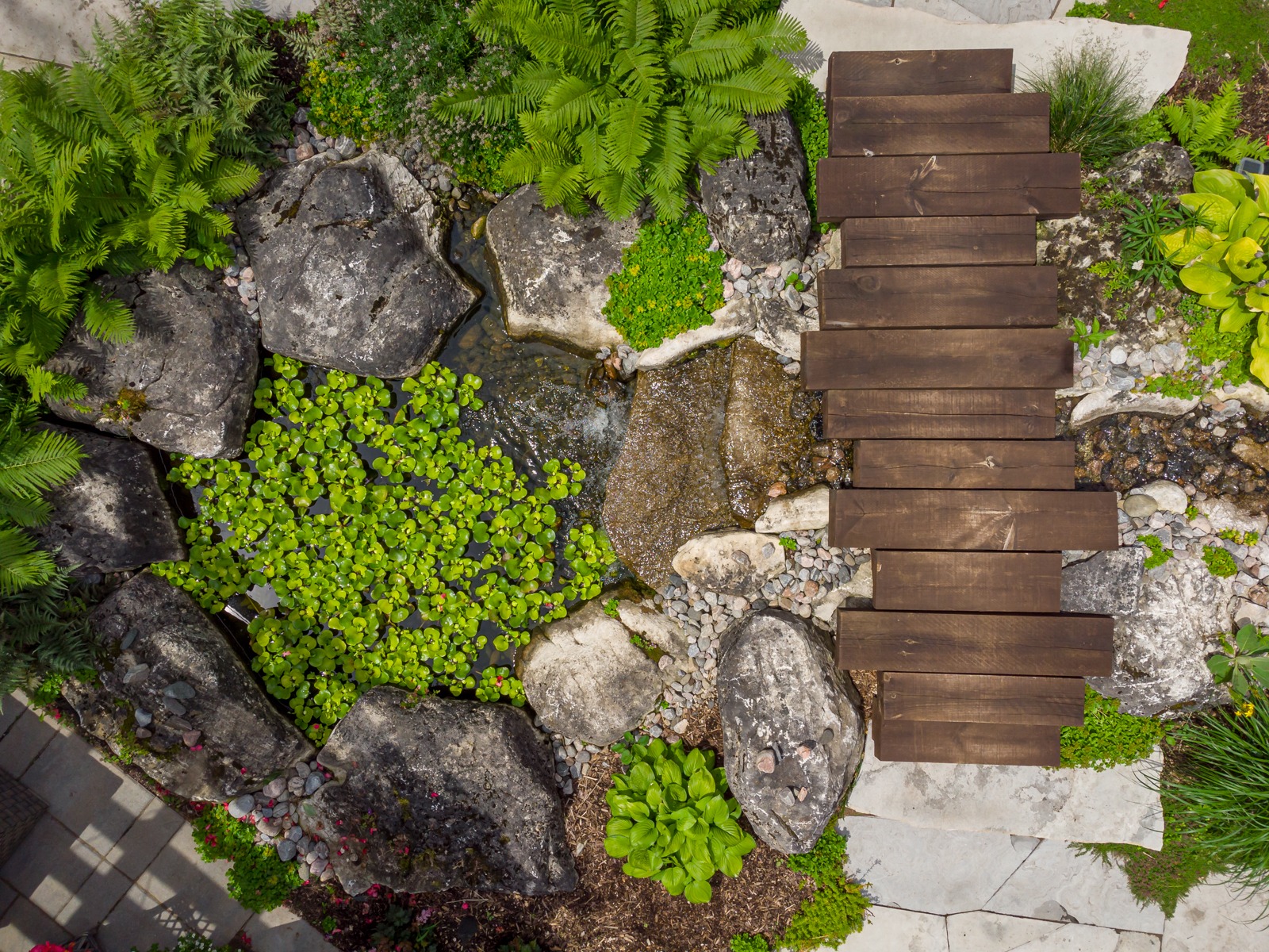 Wooden footbridge over small garden pond