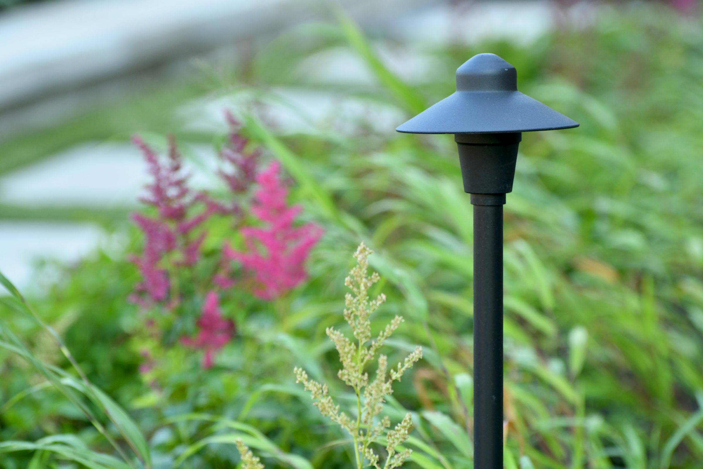 Black garden path light among green plants