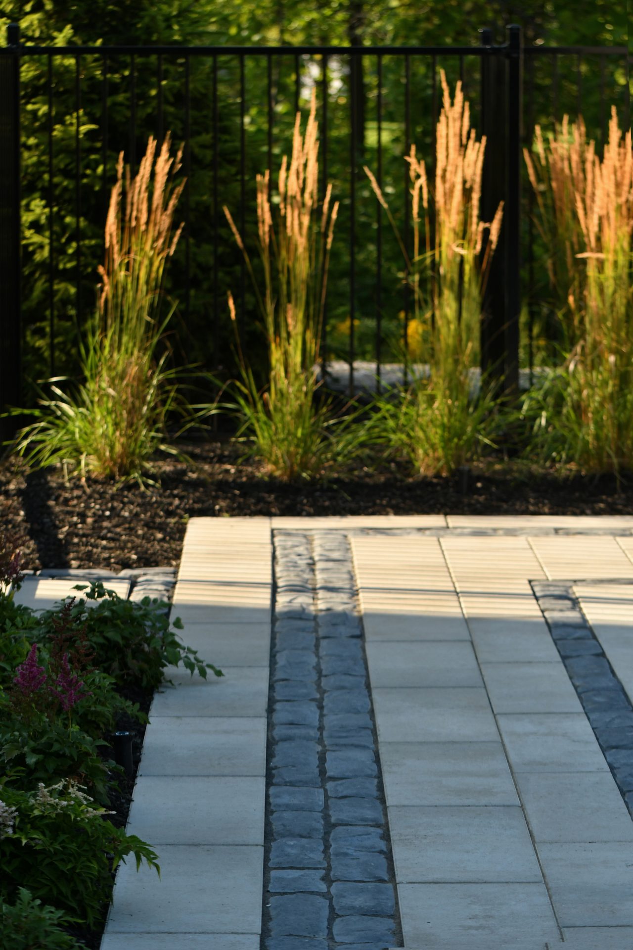 Modern stone patio with ornamental grasses and fence