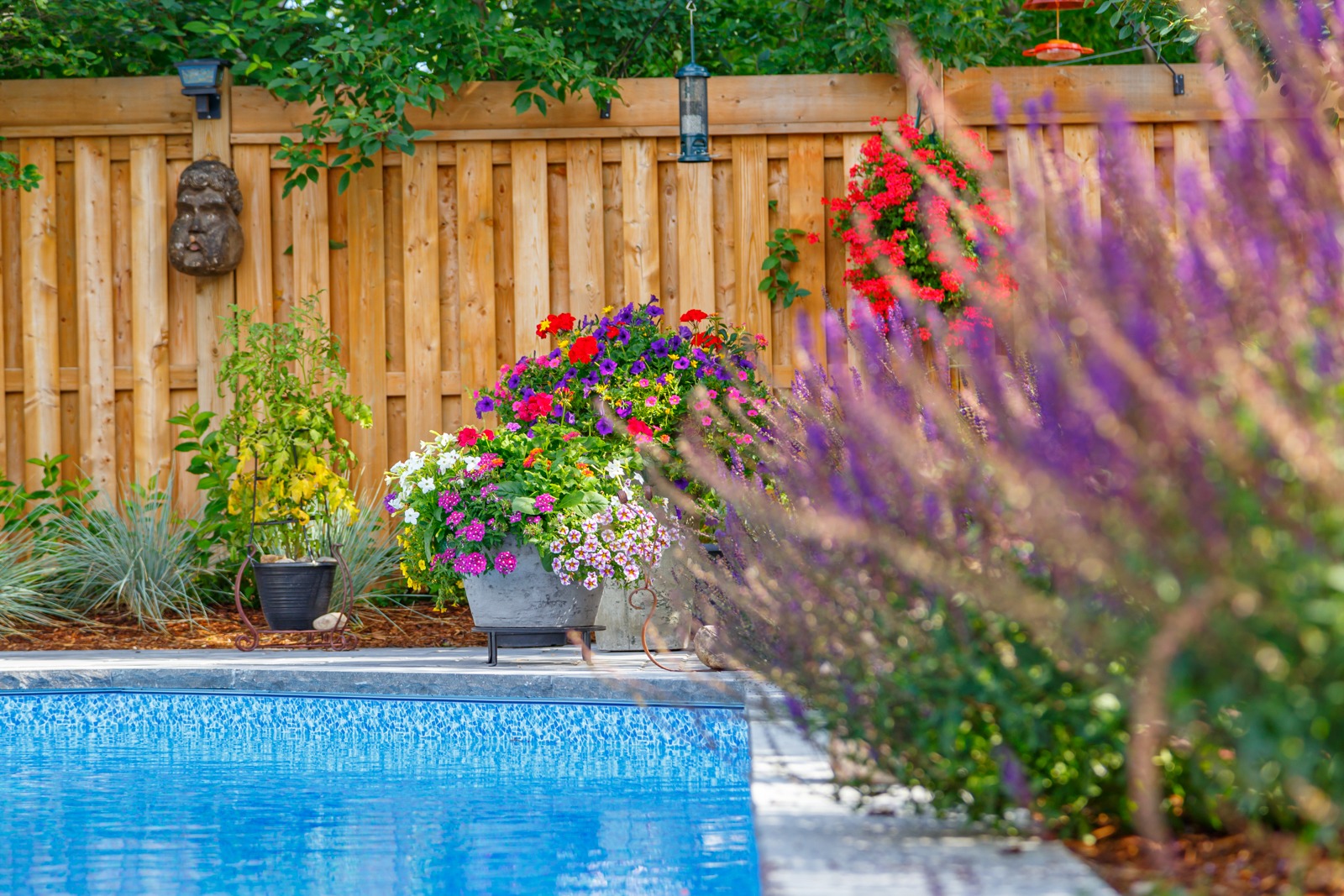 Colorful flower pots beside backyard swimming pool
