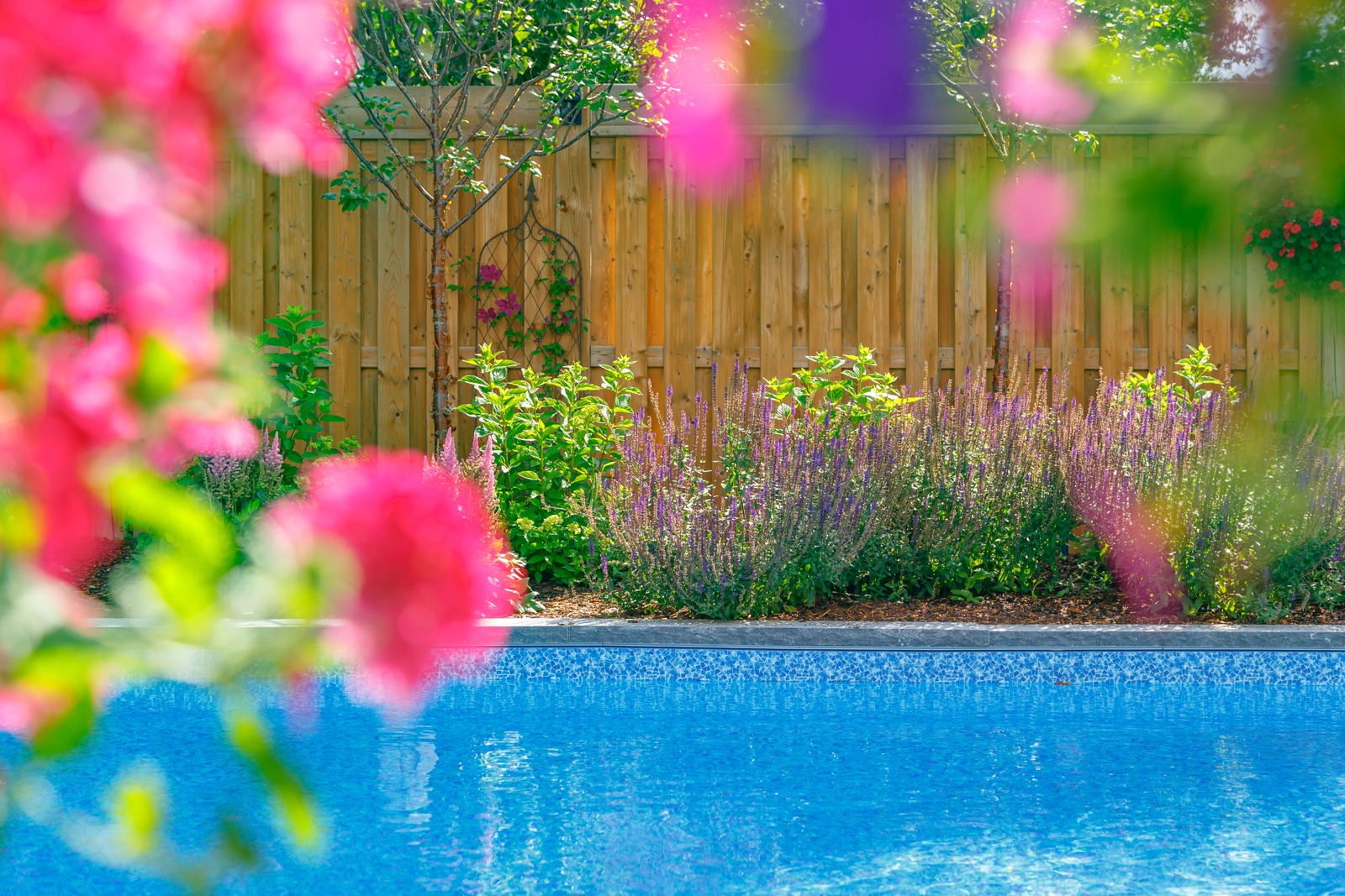 Backyard pool with colorful garden and wooden fence