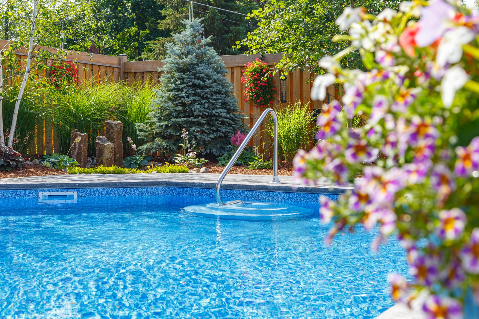 Backyard swimming pool with landscaped garden and fence