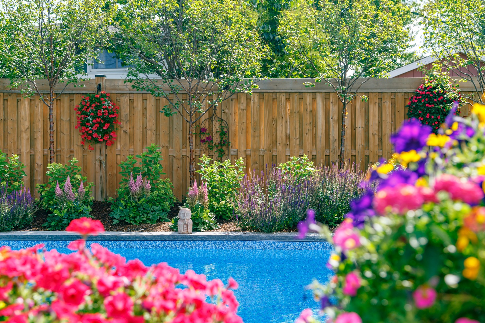 Colorful backyard garden beside a swimming pool