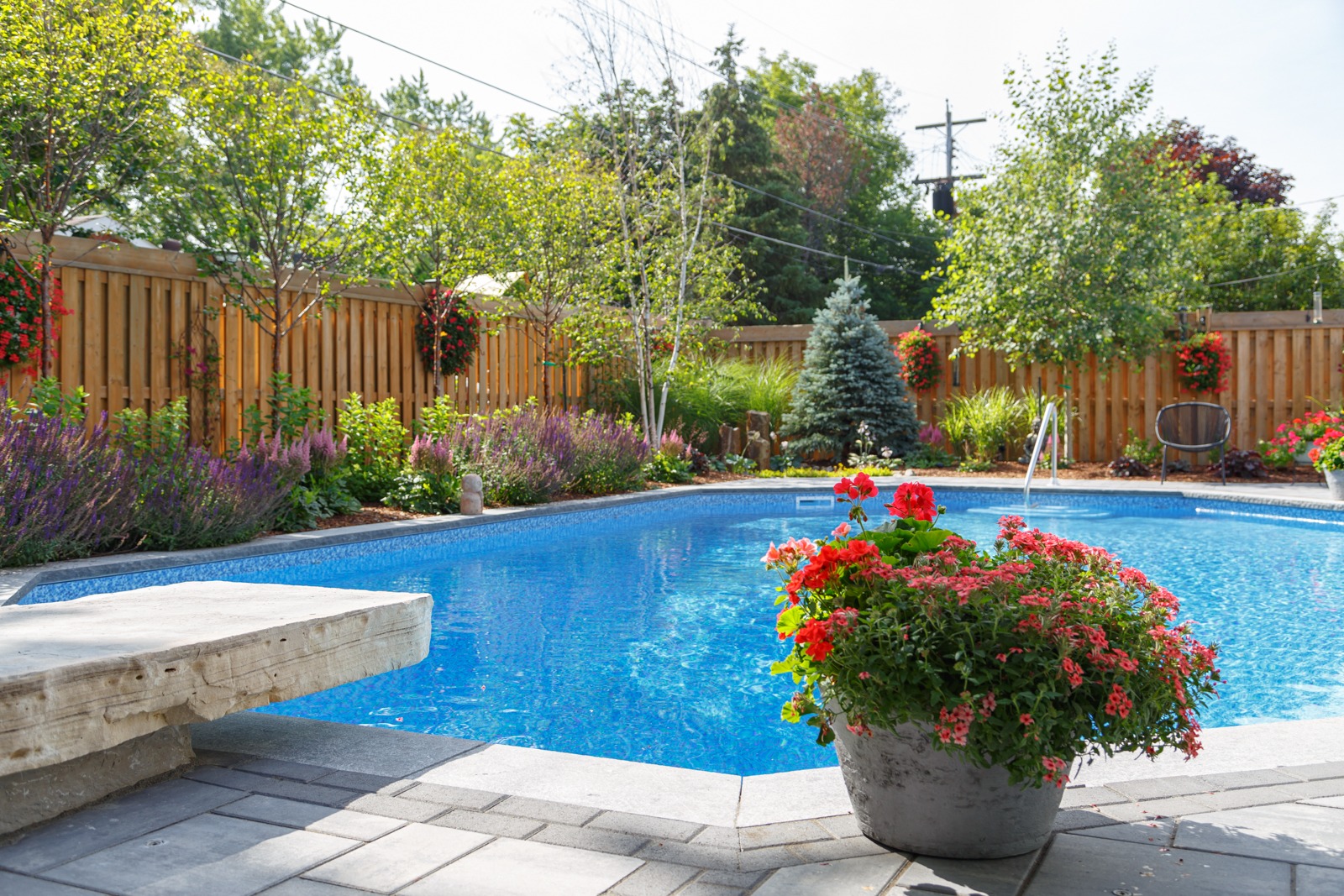 Backyard swimming pool with landscaped garden and flowers