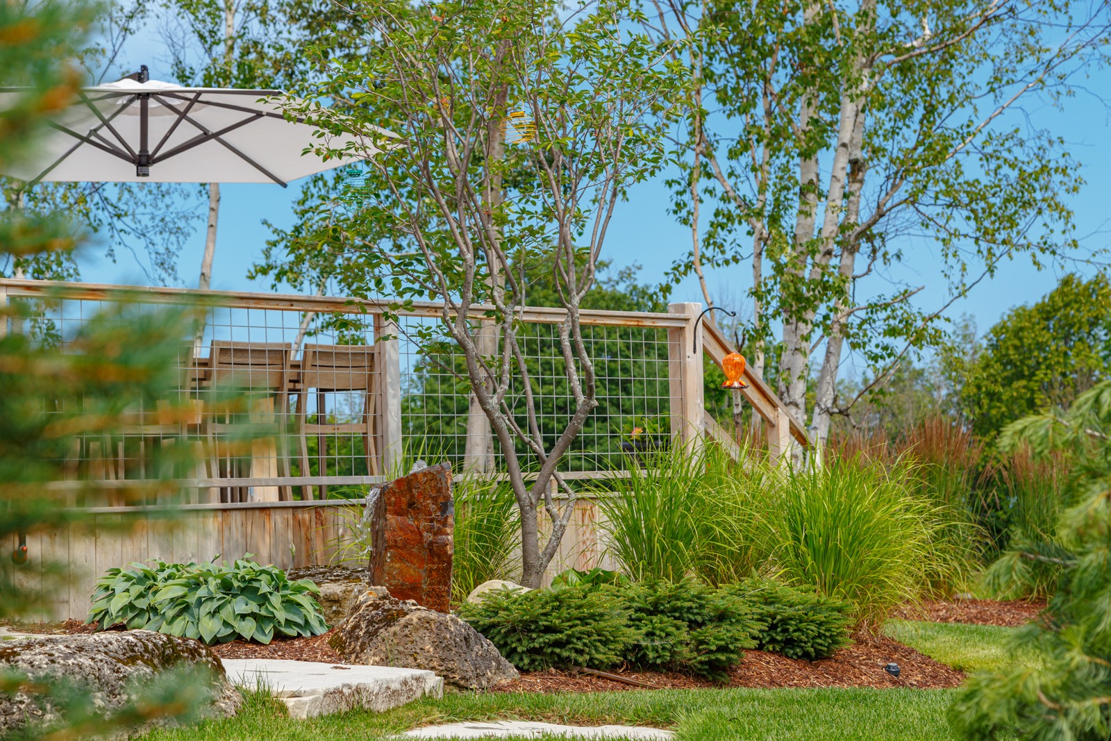 Landscaped backyard garden with deck and ornamental grasses