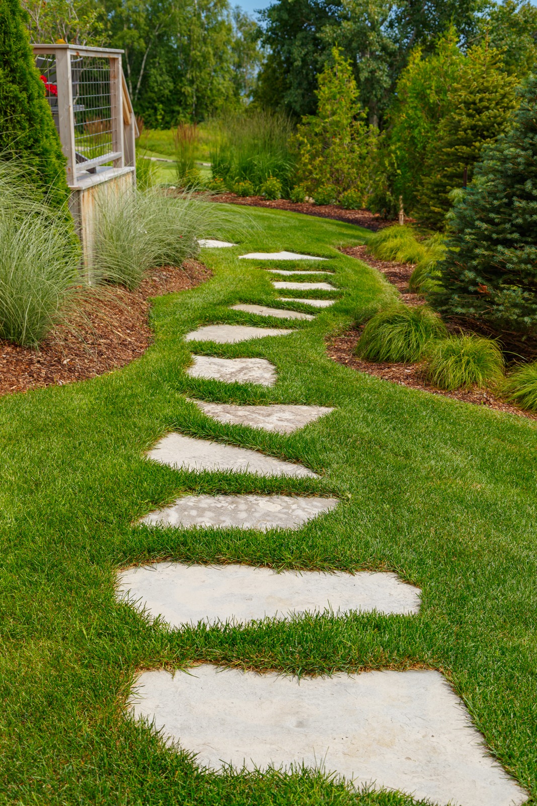 Curved stepping stone path through landscaped garden lawn