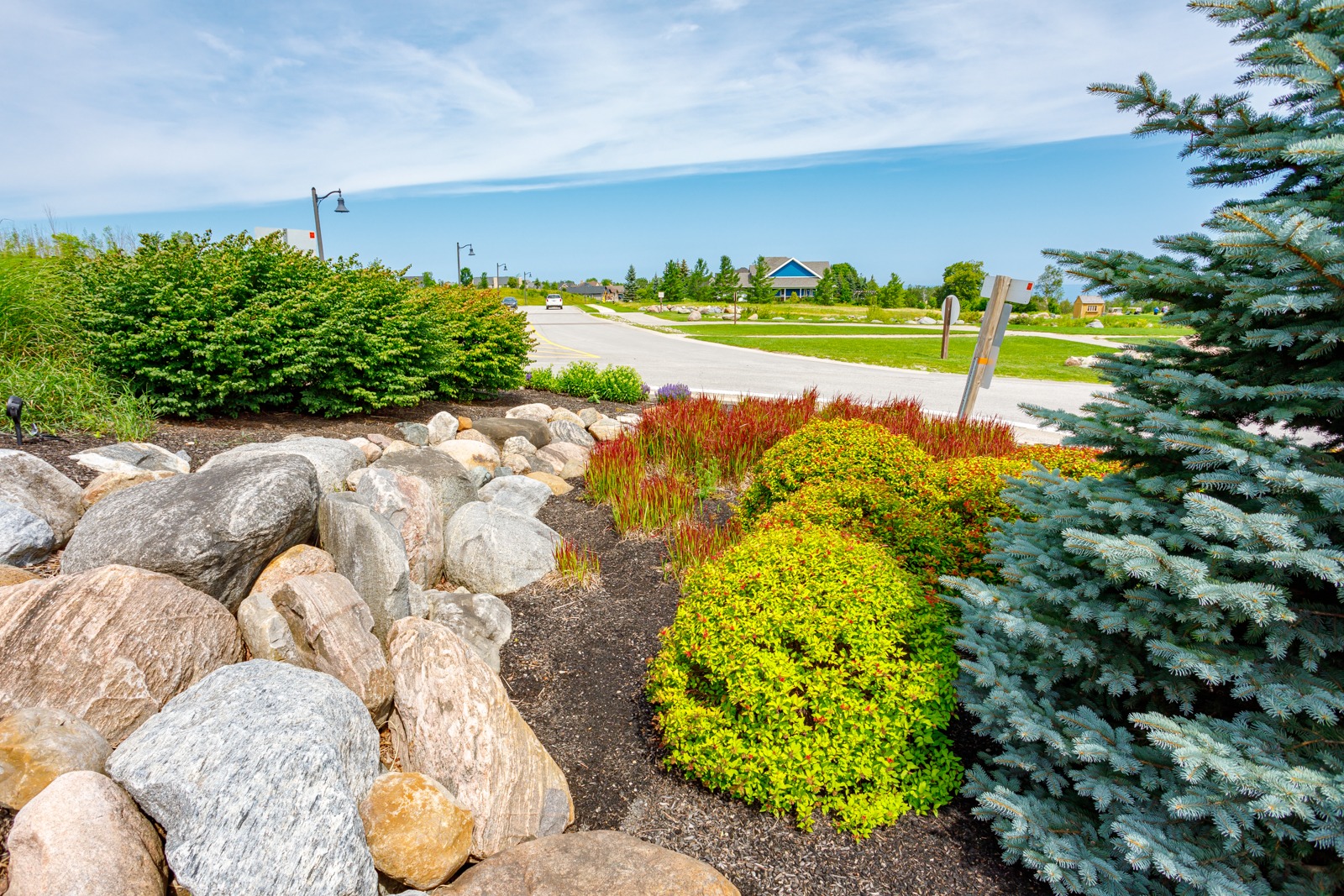 Landscaped suburban street with rocks and colorful shrubs