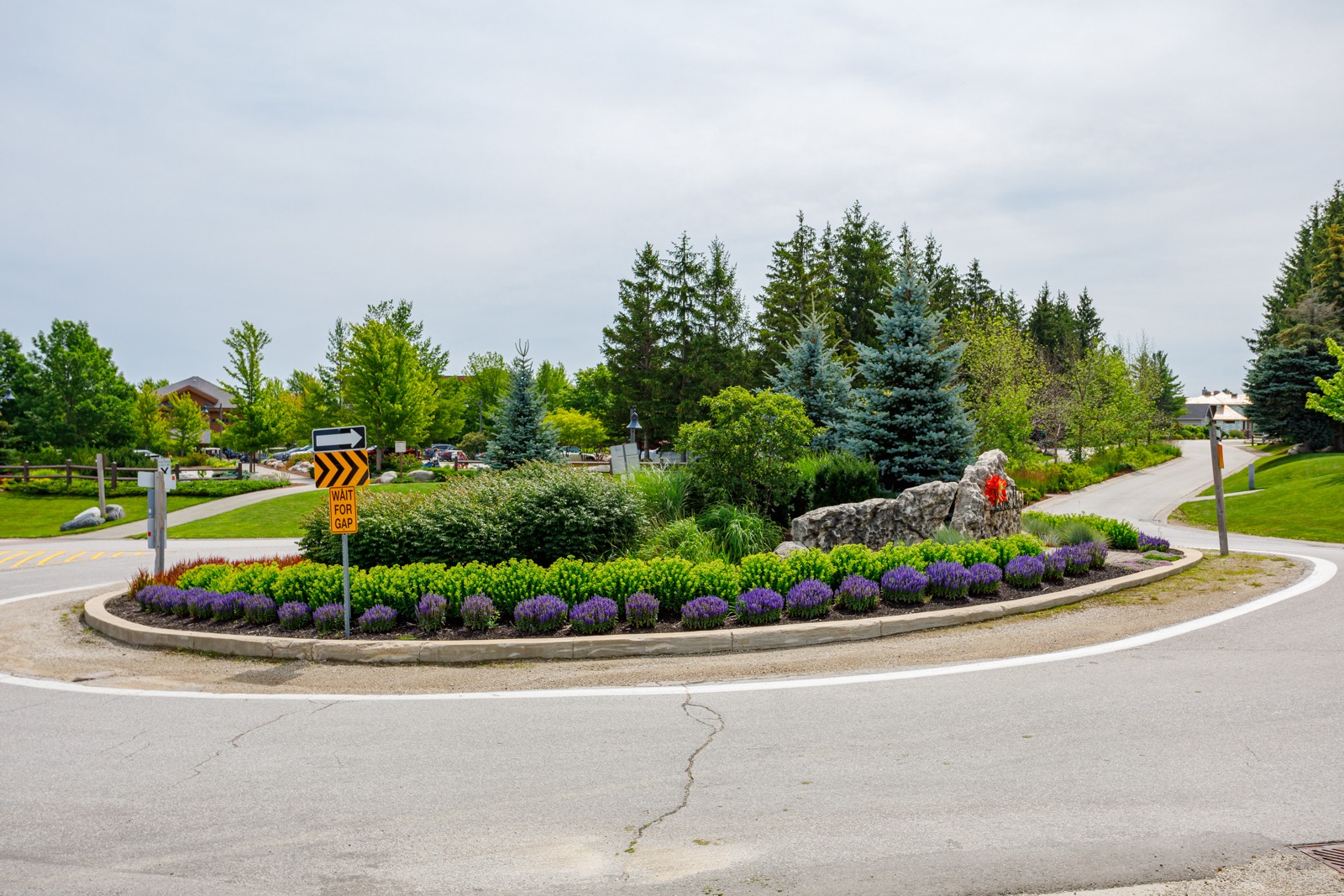 Landscaped suburban roundabout with flowers and road signs