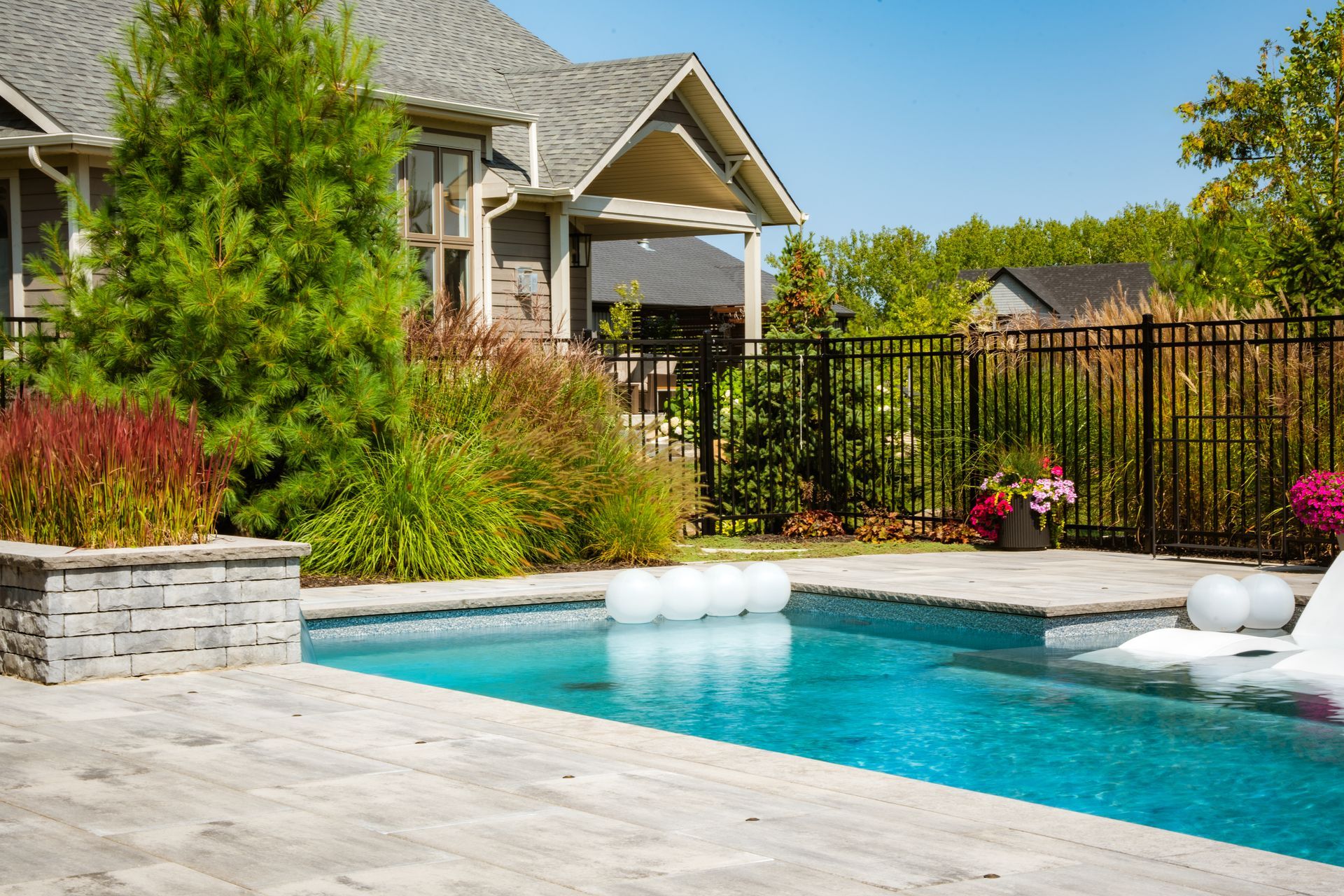 Modern backyard pool with landscaped garden and fence