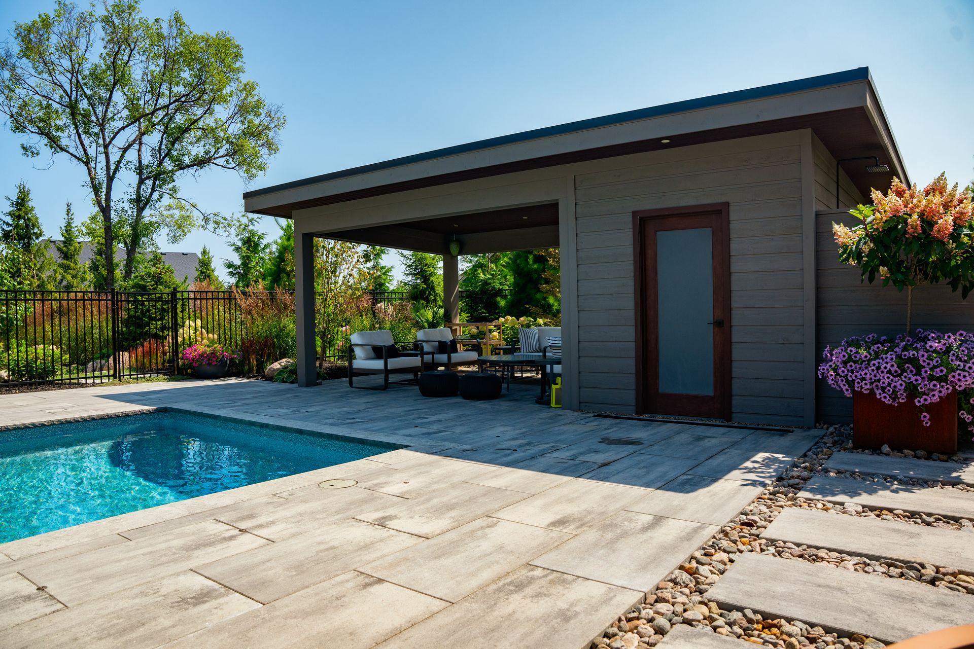 Modern backyard pool with covered patio lounge