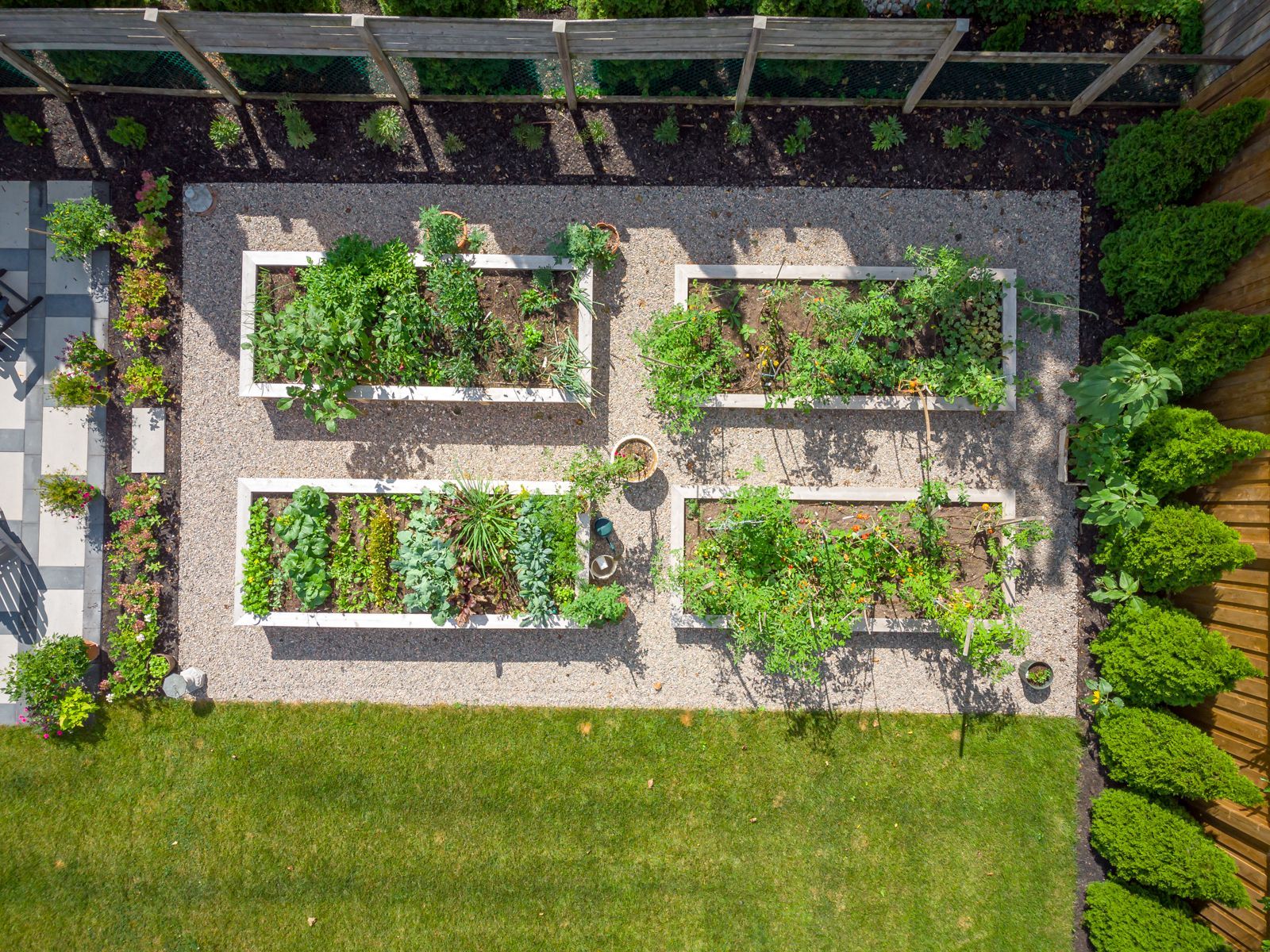 Overhead view of backyard raised vegetable garden beds