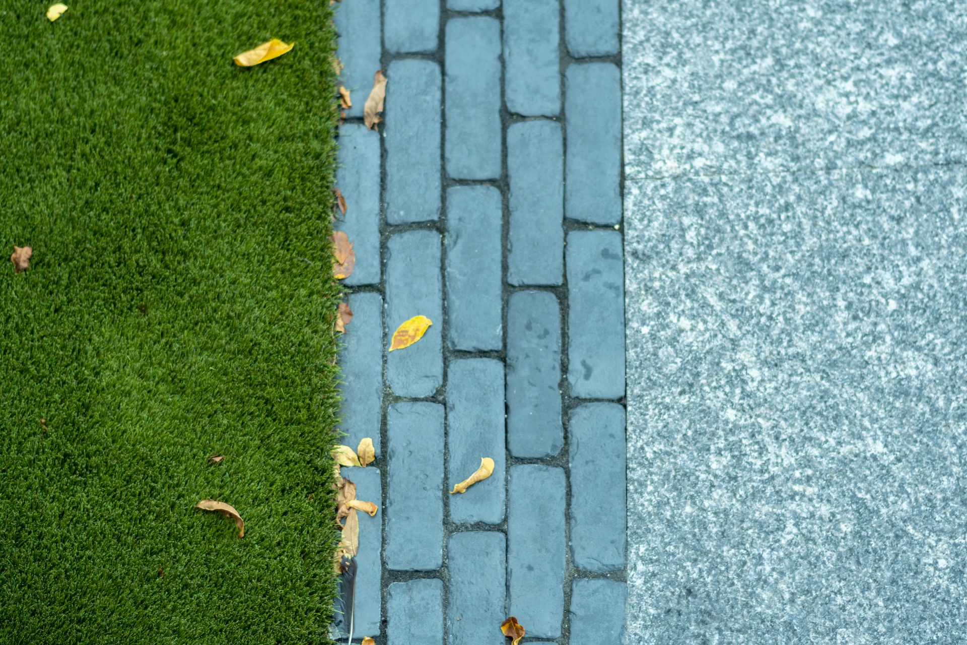 Grass, brick walkway, and concrete with fallen leaves