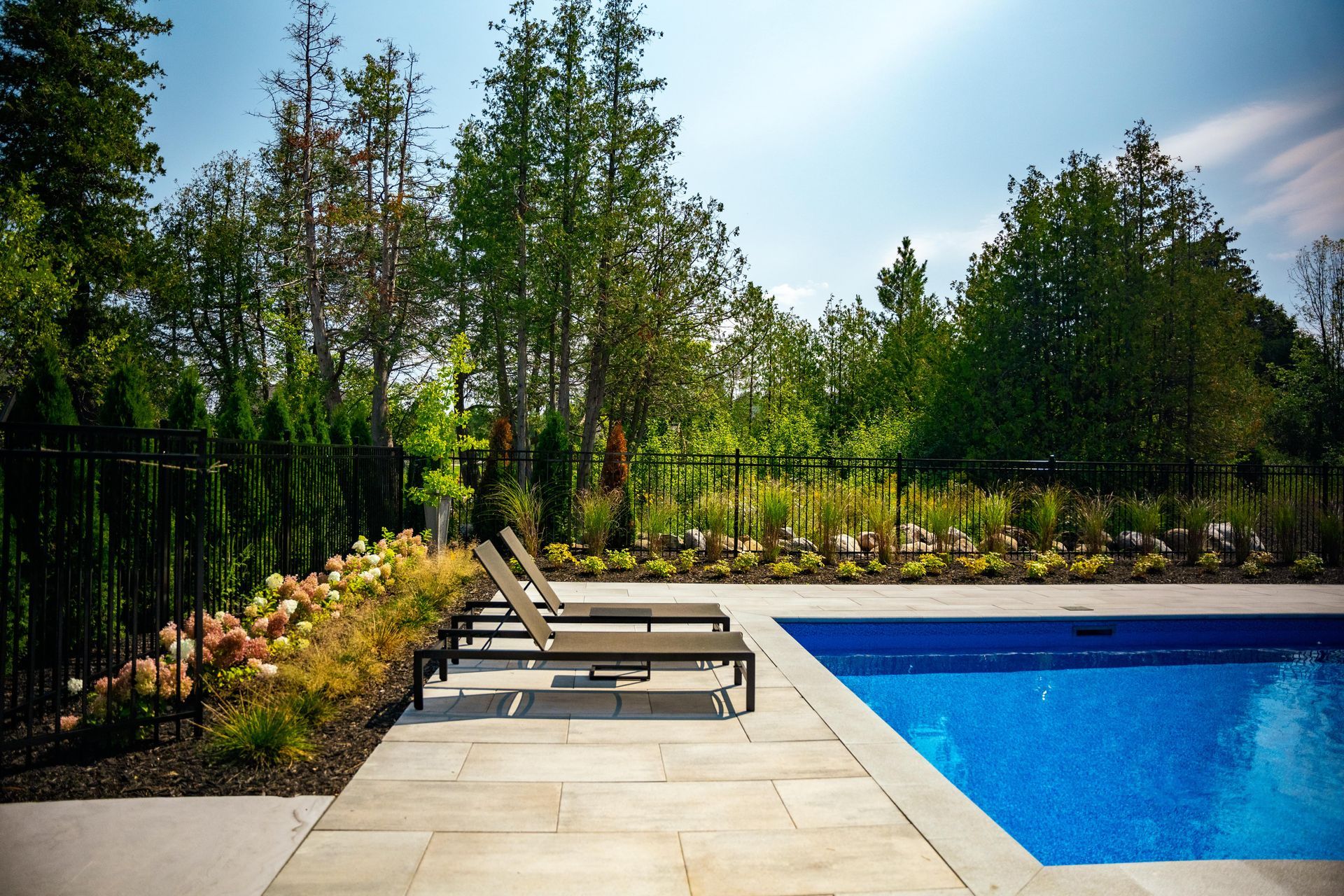 Modern backyard pool with lounge chairs and garden